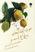 تصویر  خون آشام هاي باغ ليمو و داستان هاي ديگر در ژانر رئاليسم جادويي