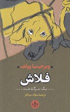 تصویر  فلاش (يك سرگذشت)