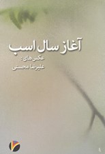 تصویر  آغاز سال اسب