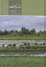 تصویر  مازندران ديار شاليكاران