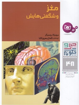 تصویر  مغز و شگفتي هايش / چرا و چگونه 48