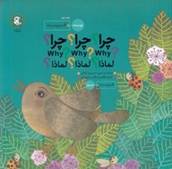 تصویر  چرا چرا چرا / why why why / لماذا لماذا لماذا