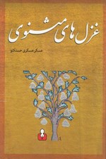 تصویر  غزل هاي مثنوي