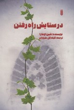 تصویر  در ستايش راه رفتن
