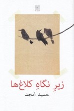 تصویر  زير نگاه كلاغ ها