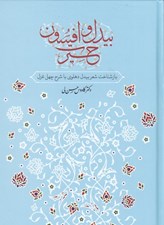 تصویر  بيدل و افسون حيرت