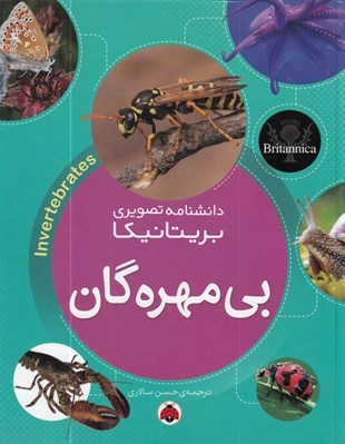 تصویر  بي مهره گان / دانشنامه تصويري بريتانيكا