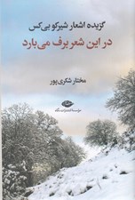 تصویر  در اين شعر برف مي بارد