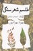 تصویر  طلسم شهر سنگي
