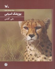 تصویر  يوزپلنگ آسيايي / حيات وحش ايران