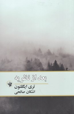 تصویر  بعد از نظريه