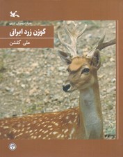 تصویر  گوزن زرد ايراني / حيات وحش ايران