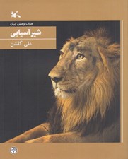 تصویر  شير آسيايي / حيات وحش ايران