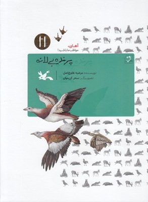 تصویر  پرنده بي لانه / آهاي مواظب ما باشيد 11