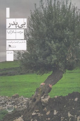 تصویر  بي پدر