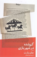 تصویر  گم شده در شهربازي