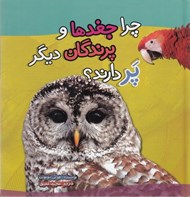 تصویر  چرا جغدها و پرندگان ديگر پر دارند؟