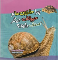 تصویر  چرا حلزون ها و حيوانات ديگر صدف دارند؟