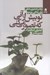تصویر  تو بيش از آني كه تصور مي كني (روشن ضميري عملي براي زندگي روزمره)