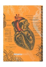 تصویر  دفتر 100 برگ Anatomy Heart