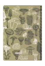 تصویر  دفتر 100 برگ Botany fungus