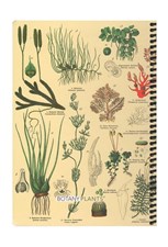 تصویر  دفتر 100 برگ Botany plants