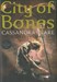 تصویر  city of bones - the mortal instruments 1 - ابزارهاي فاني 1