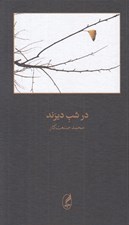 تصویر  در شب ديرند