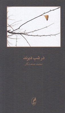 تصویر  در شب ديرند