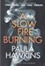 تصویر  A Slow Fire Burning - آتش پنهان