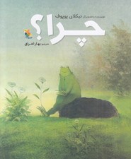 تصویر  چرا؟