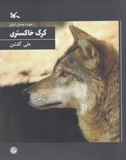 تصویر  گرگ خاكستري / حيات وحش ايران