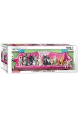 تصویر  پازل 1000 kitty cat couch (6010-5629)