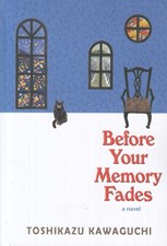 تصویر  Before Your Memory Fades