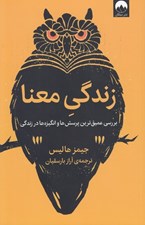 تصویر  زندگي معنا (بررسي عميق ترين پرسش ها و انگيزه ها در زندگي)