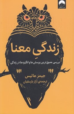 تصویر  زندگي معنا (بررسي عميق ترين پرسش ها و انگيزه ها در زندگي)