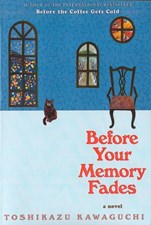 تصویر  Before Your Memory Fades