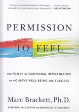 تصویر  Permission to Feel