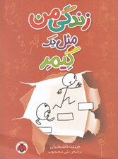 تصویر  زندگي من مثل يك گيمر
