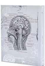 تصویر  كلاسور 26 حلقه Anatomy Brian