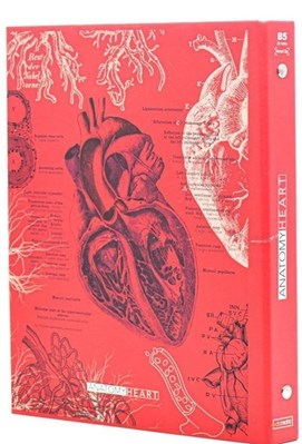 تصویر  كلاسور 26 حلقه Anatomy Heart