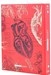 تصویر  كلاسور 26 حلقه Anatomy Heart