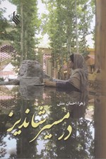 تصویر  در مسير شانديز