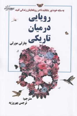 تصویر  رويايي در ميان تاريكي