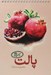 تصویر  دفتر رنگ آميزي پالت سري يلدا
