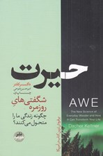 تصویر  حيرت (شگفتي هاي روزمره چگونه زندگي ما را متحول مي كنند؟)