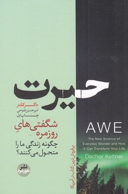 تصویر  حيرت (شگفتي هاي روزمره چگونه زندگي ما را متحول مي كنند؟)