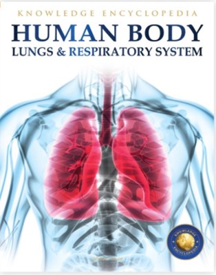 تصویر  Human Body (Lungs And Respiratory System)