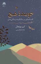 تصویر  جوينده هيچ (افسانه اي بر مالكيت زندگي مان)