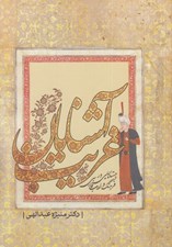 تصویر  آشنايان غريب (جستارهايي در فرهنگ و ادب فارسي)
